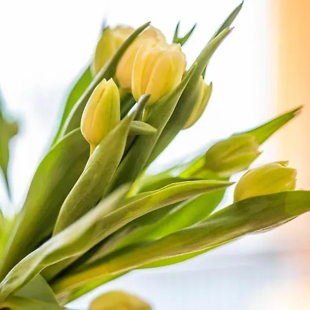 Haus Am Anker 3 Apartamento